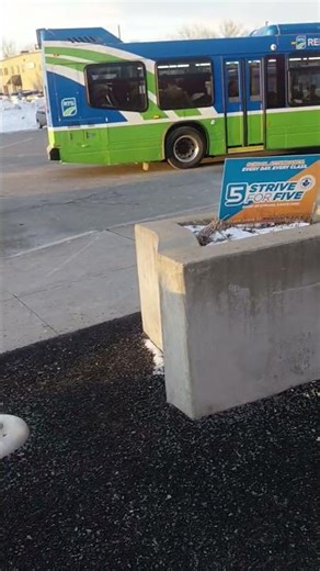 Today's morning Bus catching