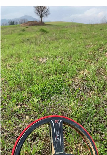 #xpdeus #xpdeusmetaldetectors #metaldetecting