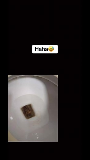 poop with me💩 (@poop_alone1)’s videos with original sound - poop with me💩