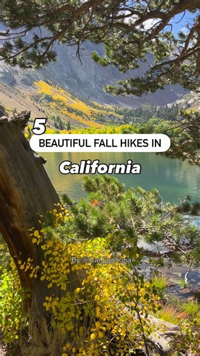 Explore California on Instagram: "Save this list of beautiful trails to hike right now and enjoy some vibrant fall colors! These trails are all accessed off Highway 395, and make a great road trip! Many of these trails are at 10k ft of elevation and require a lot of uphill hiking! So, make sure to review them on AllTrails before heading out. 🍁 LUNDY CANYON TRAIL 🍁 PARKER LAKE TRAIL 🍁 HIDDEN VALLEY LAKES TRAIL 🍁 SAGEHEN SUMMIT 🍁 BIG PINES LAKES TRAIL 🏔️ #californiaroadtrip #california #hike