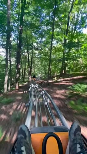 2.9M views · 6.8K reactions | POV: You’re soaking up the sun and gliding through nature on the Mountain Coaster  The Adventure Center is open today to provide sun-filled adventures, stop by and take a ride! | Greek Peak Mountain Resort | Facebook
