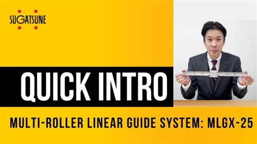 Multi Roller Linear Slide MLGX25 | Benny Lombardi