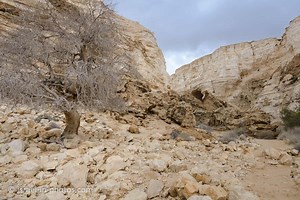Ein Avdat National Park - Visitors Guide with Map and Tracks