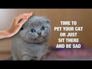 [adult swim] - May 2, 2021 Bumps