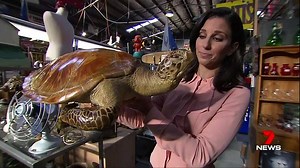 7.6K views · 36 reactions | A thief has been caught in a citizen's arrest as he tried to escape with a stuffed turtle stolen from a Geelong antique store. www.7news.com.au #7News | 7NEWS Melbourne | Facebook