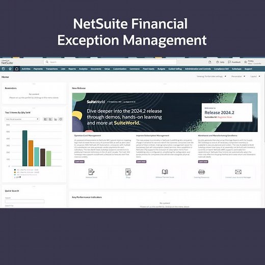 New AI-powered financial exception management solution launched | NetSuite posted on the topic | LinkedIn