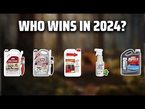 The Top 5 Best Indoor Spider Killer Spray in 2024 - Must Watch Before Buying!