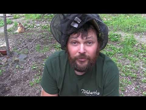 Alaska Yard Sale Treasure!!!