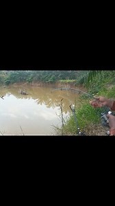 #Reels | Reno Channel