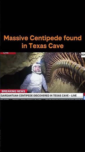 SHOCKING Texas Cave Discovery: GIANT Centipede!