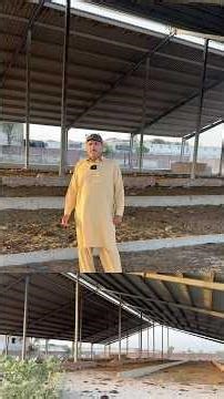 کروڑوں روپے لگا کر 450 گائے کا فارم بنایا!آج بیچنے پر مجبور ہوگیا،فارم،رقبہ،شیڈ،ملبہ برائے فروخت