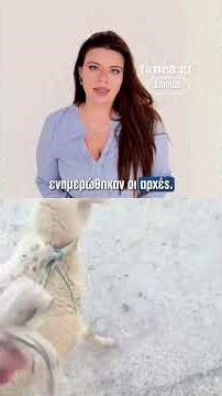 Μαρκόπουλο: Ερευνάται σοβαρή υπόθεση κακοποίησης ζώου