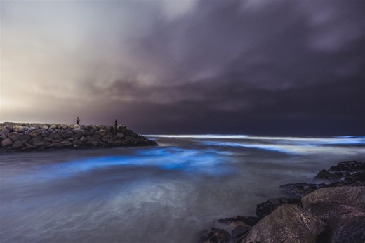 The mystery of marine bioluminescence