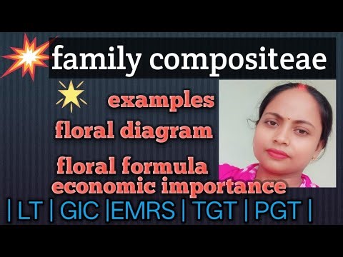 🌼 Asteraceae Family in 1 Minute | Sunflower, Marigold, Dahlia 🌻