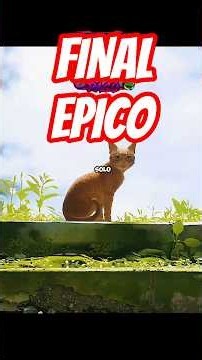 EL FINAL DE STRAY #PacoGames #twitch #gatitos #stray #yosoypacogamesoficial #viral #stream #streamer