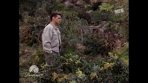 52K views · 435 reactions | Brandon and Kelly Share a Kiss - Beverly Hills 90210 | Beverly Hills 90210 Fans | Facebook