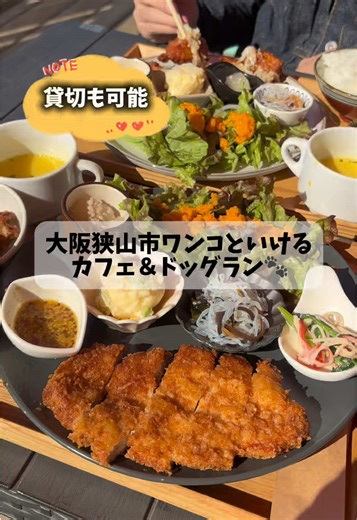 詳細はこちらをチェック✅ 大阪狭山市に位置するこちらのドッグランは貸切の日もあります🎉 貸切50分1,000円と破格❗️ 曜日によって変わるみたいなのでお店の投稿を要チェック☑️ 【店名】dog cafe &run dogxgarden 【住所】大阪府大阪狭山市山本東408 【電話】080-7499-3358 【営業時間】10:00〜18:00 【定休日】木＆第一、三の水 【駐車場】あり 【支払方法】現金、クレジットカード、QRコード可 【席数】店内10席テラス12席 軽食、ランチ、デザート、お子様プレートにドリンクも種類豊富でした😭👏 今回は月替わりランチをいただきました！ ボリューム満点で色んなおかずをちょっとずつ食べれたのですごく良かったです🫶🏻 デザートも食べたかったのですが、かなりお腹いっぱいに🐷 ワンちゃん用のヤギミルクもペロリと平らげていました🍼 そしてチュールが一本無料なのがとってもありがたい❣️ 素敵なサービスでした✨ ドッグランも広くて曜日によって貸切日を設けているみたいです🫶🏻 ⚠️店内マナーパンツ必須 ✅フォロー、いいね、保存励みになります。 