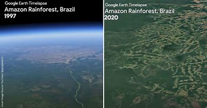 Haunting Google Earth Timelapse Shows How The Amazon Has Changed Over the Past Four Decades