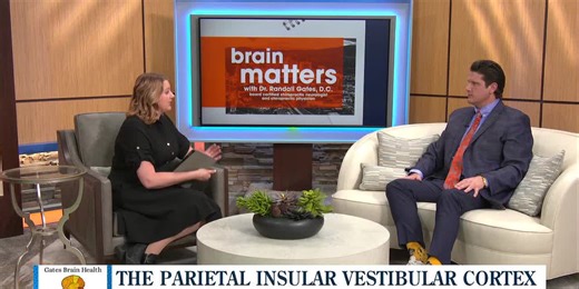 Brain Matters: The Parietal Insular Vestibular Cortex