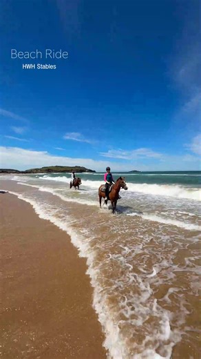 131K views · 670 reactions |  Did you always dream of riding a horse...