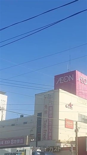 ヴェイパーウェーブ記録所 イオン海老名店(旧ニチイ) ５月閉店