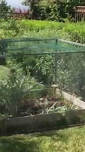 1.4M views · 3.9K reactions | Honey, I think the dogs are chasing the squirrels again  | Home is where my dog is | Facebook