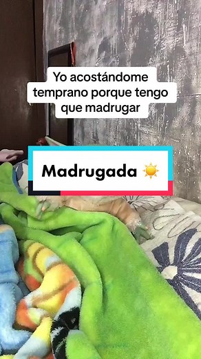 ✨ Baby Yodita ✨ on TikTok