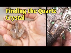 Searching Quartz Crystals | how to find Quartz Crystals | Quartz Crystals In Clay