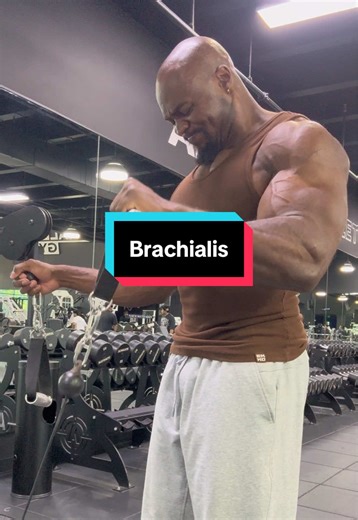 This one is the worst of the “biasing” because it’s quite literally a PURE ELBOW FLEXOR. Going out your way to “bias” the brachialis is delusional even tho there is a way you can, and no it’s not hammer curls. But genuinely it’s not worth forcing. Just flex your elbow. Literally Need a program so u don’t to think at all? Join a training group for $1/day or apply for coaching. All linked in bio @kontrolledinsanity (clothing) Code UNC @ekkovision (supps/gym stuff) Code UNC @arvellafragrance (fragr