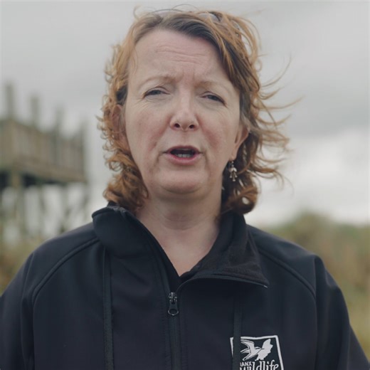 Marine officer, Lara Howe, from the Manx Wildlife Trust shares what makes the Island special. | Visit Isle of Man