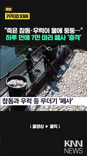 Red tide deaths become a reality... Following the heatwave, red tides are now a 'state of emergen...