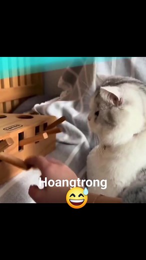 #Cuoivuimoingay | Hoang Trong