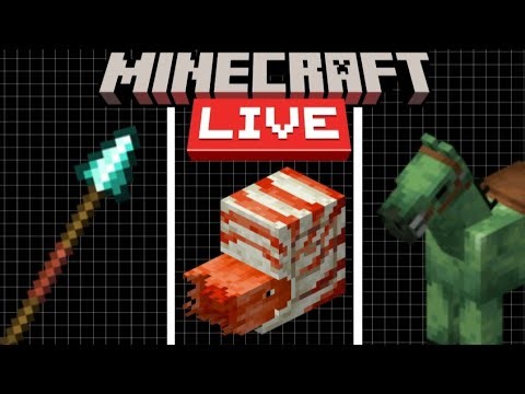 New updates of minecarft