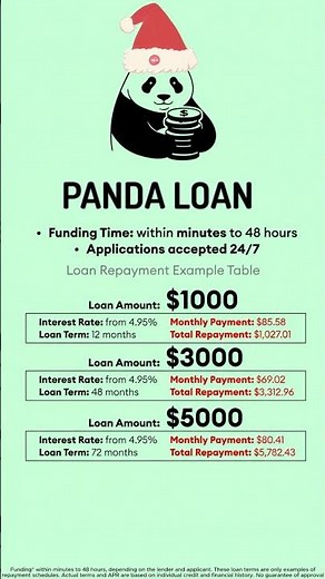 Panda Loan SECRETS Revealed Fast Funding Times and Low Rates
