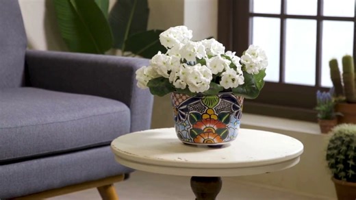 From Clay to Color: Talavera in the Making 🎨 Take a peek at how these pieces are made and see why this collection stops shoppers in their tracks. Shop Talavera Pottery that are ready to ship now! https://hubs.la/Q042R0_D0 . . . . . #Evergreen #OutdoorLiving #GardenCenter #Talavera #BehindTheScenes | Evergreen Enterprises