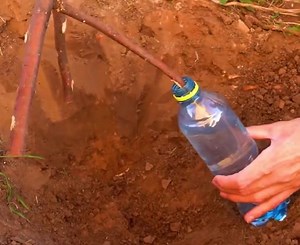 882K views · 1.9K reactions | High Yield Garden Ideas That Stay Low Cost | 5-Minute Crafts Play | Facebook