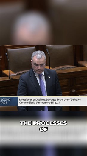 1.9K views · 13 reactions | One-Stop Shop for Defective Block Grants | VideoParliament Ireland | Facebook