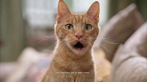 Fresh Step Extreme TV Spot, 'Amazing'