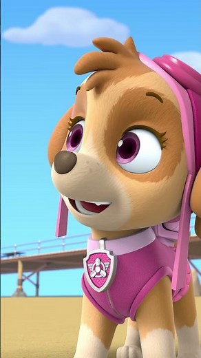 Szczeniaki Dzielą Się Smakołykami (W Pewnym Sensie!) - Psi Patrol PAW Patrol po polsku - Pup Tales