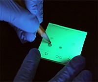 Thin Layer Chromatography: Principle, Procedure, Applications