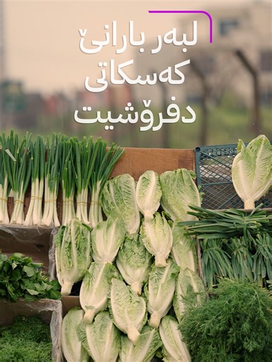 گەنجەكێ سەروشتی و خۆشەویستی بە باران