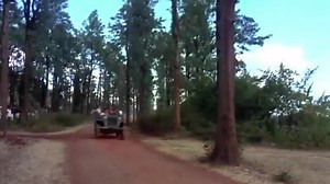 FILM : Pyar Hi Pyar ( 1969 ) SINGER : Mohammed Rafi MUSIC : Shankar jaikishan CAST : Dharmendra , Vyjaynthimala | Mamta Gautam's Playlist