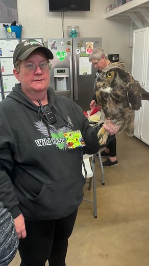 50K views · 4.6K reactions | I don’t know what Katie is saying in owl but it sure calmed this girl down! She was trying to eat me while we cleaned her feathers. | Wild Heart Ranch | Facebook