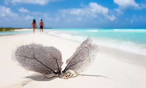 Cayo Coco, Cuba: Resorts, Hotels & Beaches | Transat