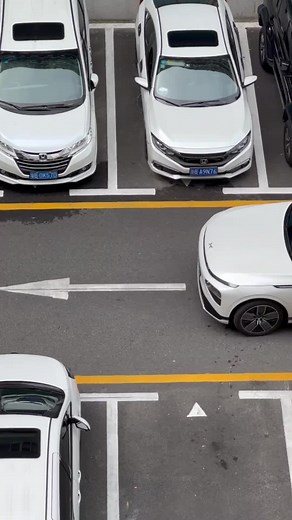 Driving Lessons on TikTok