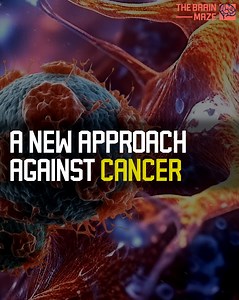 What if there was a way to fight cancer without surgery or radiation? Histotripsy, a groundbreaking treatment using focused ultrasound waves, is changing the game. Could this new, noninvasive therapy be the future of cancer treatment? | The Brain Maze