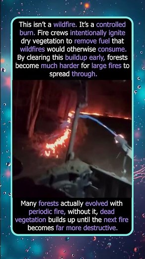 The Firefighters Starting a Fire on Purpose