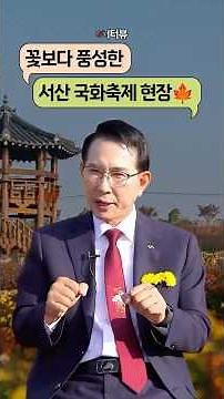 🌼꽃보다 풍성한 서산 국화축제 현장🍁