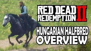 Red Dead Redemption 2 Horses - Hungarian Halfbred Overview