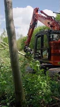 Processing a tree with TMK 300 Next Gen on a Hitachi ZX 135 US-7 with a powertilt 👏